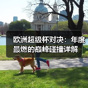 欧洲超级杯对决:年度最燃的巅峰碰撞详解-图5 欧洲超级杯对决:年度最燃的巅峰碰撞详解-图5