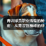 青训球员职业辉煌的秘密:从青涩到巅峰的非凡蜕变-图5 青训球员职业辉煌的秘密:从青涩到巅峰的非凡蜕变-图5