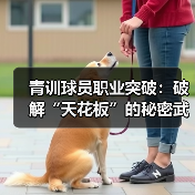 青训球员职业突破:破解“天花板”的秘密武器-图3 青训球员职业突破:破解“天花板”的秘密武器-图3