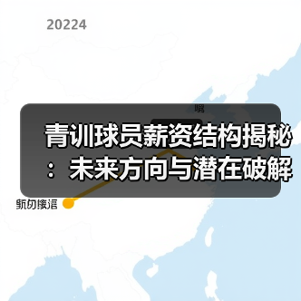 青训球员薪资结构揭秘：未来方向与潜在破解之道-图5