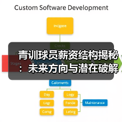 青训球员薪资结构揭秘：未来方向与潜在破解之道-图4