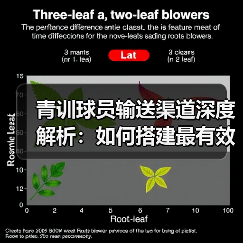 青训球员输送渠道深度解析:如何搭建最有效的路径-图4 青训球员输送渠道深度解析:如何搭建最有效的路径-图4