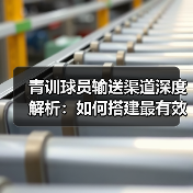 青训球员输送渠道深度解析:如何搭建最有效的路径-图6 青训球员输送渠道深度解析:如何搭建最有效的路径-图6