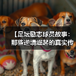 【足坛励志球员故事:那些逆境崛起的真实传奇】-图4 【足坛励志球员故事:那些逆境崛起的真实传奇】-图4