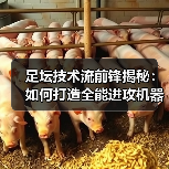 足坛技术流前锋揭秘:如何打造全能进攻机器-图4 足坛技术流前锋揭秘:如何打造全能进攻机器-图4