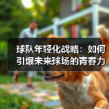 球队年轻化战略:如何引爆未来球场的青春力量-图3 球队年轻化战略:如何引爆未来球场的青春力量-图3