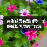 青训球员转型指导:破解成长困局的全攻略-图5 青训球员转型指导:破解成长困局的全攻略-图5