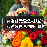 青训球员经纪人规范:打造绿色通道的行业新规-图4 青训球员经纪人规范:打造绿色通道的行业新规-图4