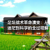 足坛战术革命演变:从迷茫到科学的全过程解析-图4 足坛战术革命演变:从迷茫到科学的全过程解析-图4