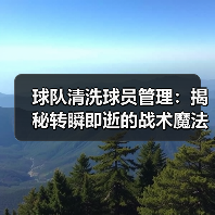 球队清洗球员管理：揭秘转瞬即逝的战术魔法-图3