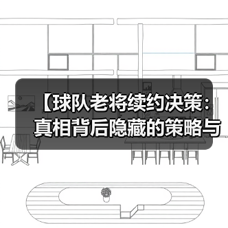 【球队老将续约决策:真相背后隐藏的策略与内幕】-图6 【球队老将续约决策:真相背后隐藏的策略与内幕】-图6
