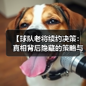 【球队老将续约决策:真相背后隐藏的策略与内幕】-图5 【球队老将续约决策:真相背后隐藏的策略与内幕】-图5