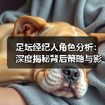 足坛经纪人角色分析：深度揭秘背后策略与影响力-图3