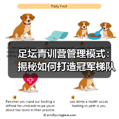 足坛青训营管理模式：揭秘如何打造冠军梯队-图5