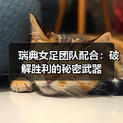 瑞典女足团队配合:破解胜利的秘密武器-图3 瑞典女足团队配合:破解胜利的秘密武器-图3