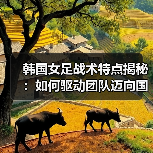 韩国女足战术特点揭秘：如何驱动团队迈向国际顶尖-图6