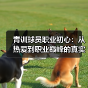 青训球员职业初心:从热爱到职业巅峰的真实指南-图4 青训球员职业初心:从热爱到职业巅峰的真实指南-图4
