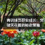 青训球员职业成长:突破天花板的秘密策略-图5 青训球员职业成长:突破天花板的秘密策略-图5