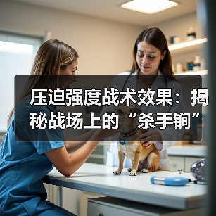 压迫强度战术效果:揭秘战场上的“杀手锏”-图5 压迫强度战术效果:揭秘战场上的“杀手锏”-图5
