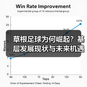 草根足球为何崛起?基层发展现状与未来机遇全解析-图4 草根足球为何崛起?基层发展现状与未来机遇全解析-图4