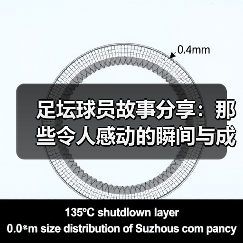 足坛球员故事分享:那些令人感动的瞬间与成长-图6 足坛球员故事分享:那些令人感动的瞬间与成长-图6