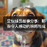 足坛球员故事分享:那些令人感动的瞬间与成长-图4 足坛球员故事分享:那些令人感动的瞬间与成长-图4