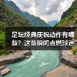 足坛经典庆祝动作有哪些？这些瞬间点燃球迷热血-图5