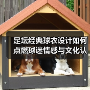 足坛经典球衣设计如何点燃球迷情感与文化认同？-图4