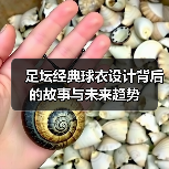 足坛经典球衣设计背后的故事与未来趋势-图5