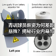 青训球员薪资为何差距悬殊?揭秘行业内幕与未来趋势-图3 青训球员薪资为何差距悬殊?揭秘行业内幕与未来趋势-图3