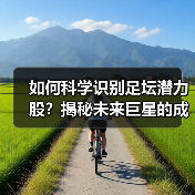 如何科学识别足坛潜力股?揭秘未来巨星的成长密码-图6 如何科学识别足坛潜力股?揭秘未来巨星的成长密码-图6