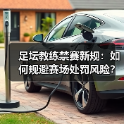 足坛教练禁赛新规：如何规避赛场处罚风险？-图4