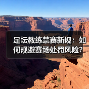 足坛教练禁赛新规：如何规避赛场处罚风险？-图5