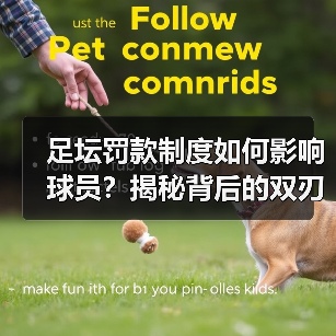 足坛罚款制度如何影响球员?揭秘背后的双刃剑效应-图3 足坛罚款制度如何影响球员?揭秘背后的双刃剑效应-图3