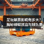 足坛禁赛影响有多大?揭秘蝴蝶效应与球队崩盘关联-图5 足坛禁赛影响有多大?揭秘蝴蝶效应与球队崩盘关联-图5
