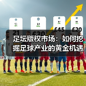 足坛版权市场：如何挖掘足球产业的黄金机遇？-图6