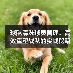 球队清洗球员管理：高效重塑战队的实战秘籍-图2