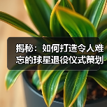 新闻/NEWS-图10