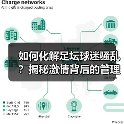 如何化解足坛球迷骚乱？揭秘激情背后的管理之道-图2